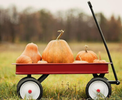 Pumpkin Kisses and Harvest Wishes (1)