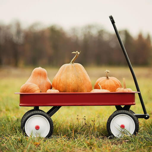Pumpkin Kisses and Harvest Wishes (1)
